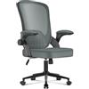 naspaluro Sedia da Ufficio Ergonomica Bracciolo Ribaltabile, Poltrona Ufficio Supporto Lombare Unico, Cuscino Imbottito, Sedia da Ufficio Regolabile in Altezza, Per Casa Ufficio, Studio,Grigio Scuro