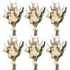 HIVTE 6 mazzetti di mini fiori secchi, bouquet di erba d'amore bianca naturale e gypsophila, fiori secchi pressati per vasi, piccole decorazioni floreali artificiali