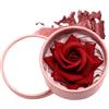 Renopfect Blush Rosa - Blush A Forma Di | Effetto 3D Petali di Rosa Leggero e Duraturo, Rossetto Coprente per Viso e Guance Ideale per Feste e Incontri