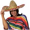 I LOVE FANCY DRESS LTD Sombrero messicano da donna con fascia messicana per festa + baffi