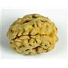 Laboratorio Certificato Nepal 3 Mukhi Rudraksh/Collettore Tre Viso Rudraksha