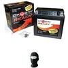 farbrothersonline COMPATIBILE CON PIAGGIO X7 E3 (M62200) 250 2007-2011 BATTERIA OKYAMI GIA' PRONTA ALL'USO OTX14-BSR CARICA SIGILLATA ATTIVATA IN FABBRICA 12 AH AMPERE 12 VOLT