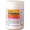 LIVI Sas di Lincetto & C. GASTROMINERAL POLV 250G