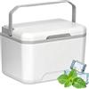 Generic Refrigeratore da campeggio, portatile, isolato, 5 l, a prova di perdite, con manico rigido, compatto, da viaggio, picnic, pesca, barca, campeggio, barbecue, spiaggia, escursionismo, tailgating road