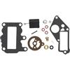 PLunZX Parti di Ricambio Kit di revisione carburatore for Motori fuoribordo 9,5 CV 1964-1973 382048, 765630 (con Galleggiante)