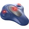 Comebachome Trainer pelvico, Trainer portatile per il pavimento pelvico per il supporto del core e condizionamento muscolare quotidiano, utilizzo comodo e funzionamento semplice, decorazioni d'été