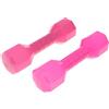 Generic Set di 2 Manubri per Bambini, Pesi a Manubrio, Attrezzo Fitness, Leggero E Portatile, Regolabile, Rosa