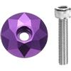 QUARKZMAN 2Pcs Copertura Superiore Attacco Manubrio Bicicletta 1-1/4 (31.8mm) Diametro Esterno Lega Alluminio Copertura Attacco Manubrio con Vite M6 per Mountain Bike Bici, Viola