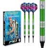 RED DRAGON Peter Wright Snakebite Mamba 2 Soft-Tip - 18g - 90% Freccette Soft Tungsteno con Alette Freccetta, Aste Freccette Checkout Card