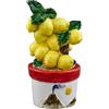 Doni Bomboniere Matrimonio 12PZ Piantina di Limoni con Vaso Segnaposto Agrumi Simboli Sicilia Vulcano Nozze Feste A Tema Raffigurazioni E Sole Idee Regalo Complete Originali Economiche