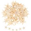 QUARKZMAN 60Pcs Stelle Marine per Craft, 0.4-0.8 Piccole Stelle Marine Naturali Conchiglie all'Ingrosso PerParty A Tema Spiaggia E Matrimonio per Casa Vasi DIY Crafts, Bianco
