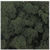 Chianese Muschio lichene stabilizzato Nordico Colorato per Giardino Verticale Quadro vegetale presepi e modellismo 500 gr (Verde Muschio)