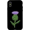 Sunburst Designs Custodia per iPhone X/XS Fiore di cardo scozzese