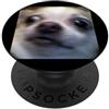 Funny Cute Dog Meme Humor Art (Chihuahua Meme divertente del cane con foto sfocata del viso di chihuahua confuso PopSockets PopGrip Adesivo
