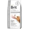 Brit Grain Free Veterinary Diet Dog Joint & Mobility Śledż Z Groszkiem 12kg
