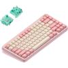 Nuphy Halo75 v2 Tastiera meccanica senza fili QMK/VIA, QWERTY US, Bluetooth / 2,4 GHz - Menta frizzante Sakura