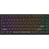 Dark Project Terra Nostra R2 Tastiera meccanica da gioco Layout ANSI US - Nero