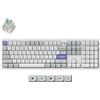 Keychron Tastiera con cavo Keychron Q6 HE con tecnologia a effetto Hall, tasti magnetici a rilascio rapido, compatibile con hot-swap, frequenza di polling di 8000 Hz, layout full-size, alluminio, RGB personalizzabile per Mac, Windows e Linux, bianca