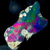 OPAL EMPIRE Ethiopian Opal Gemma Naturale Nera Grezza 9.5 Ct 27x14 mm