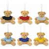 Portachiavi con peluche personalizzabile Teddio personalizzate o neutre