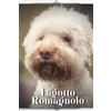 Nina Pustova Lagotto Romagnolo (Tascabile)