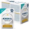 FORZA10 GATTO UMIDO URINARY ACTIVE 80g