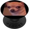 Funny Dog Humor Cute Meme Graphics (Chih Divertente Chihuahua Viso Closeup Sfocato Cane Meme Foto PopSockets PopGrip Adesivo
