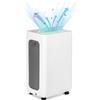 Clanmacy Deumidificatore Clanmacy - 26 L/giorno, contenitore da 5,5L, fino a 30 m², elettrico, asciugatura biancheria, timer, modalità automatica - Capacità di deumidificazione degli ambienti: 26 L/giorno