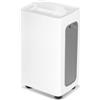 Clanmacy Deumidificatore Clanmacy 26L/giorno 4,5L-serbatoio, deumidificatore per ambienti deumidificatore per edifici purificatore d'aria, rimovibile, timer 24 ore su 24