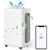 Bettizia Deumidificatore Bettizia - WIFI - 26 L / giorno, contenitore da 4,5L, fino a 30 m², elettrico, asciugatura biancheria, timer 24H, modalità automatica - prestazioni di deumidificazione ambiente