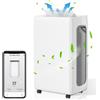 Hebitod Deumidificatore mobile Hebitod 26L/giorno WiFi con 2 velocità, deumidificatore d'ambiente 43dB, deumidificatore d'aria con serbatoio d'acqua da 4L e timer 24H deumidificatore, deumidificatore