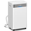 Northio Deumidificatore, serbatoio da 4,5 l, timer 24 ore, display LED
