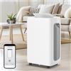 Izrielar Deumidificatore Izrielar 26L/24h, dimensione ambiente circa 25 m², 420 W, serbatoio dell'acqua da 4,3 l, App Smart Home Wifi, tubo di scarico, timer