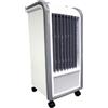 Briconess Ventilatore raffrescatore d'aria per casa umidificatore a liquido con tre velocità 4 lt