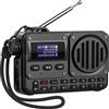 OEM Altoparlante Bluetooth portatile con display LCD - BT 5.0 - AUX - USB - Scheda TF
