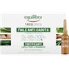 equilibra Capelli, Fiale Anti-Caduta Fortificanti, per Aiutare a Prevenire e Rallentare la Caduta dei Capelli e per Fortificare la Capigliatura, a Base di Aloe Vera e Olio di Argan, 10 Fiale da 8 ml