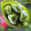 Fiona Apple Extraordinary Machine (CD) Album