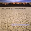 Elliott Sharp/Carbon Void Coordinates (CD) Album