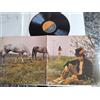 LUCIO BATTISTI - AMORE NON AMORE - LP 33 GIRI - 12" MINT