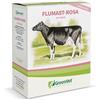 APA-CT SRL GREENVET FLUMAST ROSA DERM 12 SIRINGHE DA 10 ML