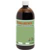 DELTA Srl PURGARUMEX MANGIME COMPLEMENTARE LIQUIDO 500 G