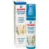 DUAL SANITALY SpA SOC.BENEFIT Gehwol Deodorante Piedi E Gambe 150 ml