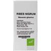 OTI Srl Oti Ribes Nigrum Macerato Glicerico 10% Gocce 100 ml
