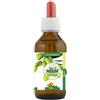 SPAZIO ECOSALUTE Srl Zio Ecosalute Neem Olio 100 Ml Foglie