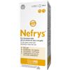INNOVET ITALIA Srl Nefrys Con Siringa Per Cani e Gatti 100ml - Integratore Liquido per la Salute Renale dei Tuoi Animali