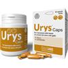 INNOVET ITALIA Srl Urys Caps Integratore per il Benessere delle Vie Urinarie di Cani e Gatti - 30 Capsule