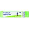 Boiron Cadmium Sulfur 5ch Gr 4g