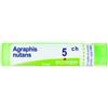 Boiron Agraphis Nut Boi 5ch Gr 4g