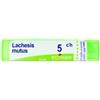 Boiron Lachesis Mutus 5 Ch Granuli