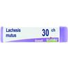 Boiron Lachesis Mutus 30 Ch Globuli